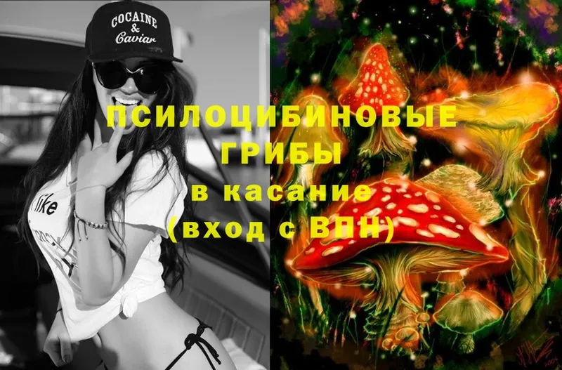 Галлюциногенные грибы Cubensis  где можно купить   Солигалич 